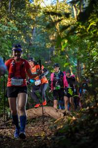 BIB: 3352
                            <button type="button" onclick="openModal(19242918)" class="btn btn-primary btn-sm float-right btn-popup" data-toggle="modal" data-target=".modal-high-quality">
                        <i class="fas fa-shopping-cart"></i> Add to Cart
                    </button>
                                            <button type="button" onclick="isThisMe(19242918, true)" class="btn btn-success btn-sm float-right btn-popup btn-isme hidden" data-toggle="tooltip" data-placement="bottom" title="นี่คือรูปของคุณใช่ไหม คลิกที่นี่เพื่อเอาเข้าอัลบั้ม">
                        <i class="fas fa-plus"></i> Add to album
                    </button>
                    <button type="button" onclick="isThisMe(19242918, false)" class="btn btn-warning btn-sm float-right btn-popup btn-isnotme hidden">
                        <i class="fas fa-ban"></i> Remove from album
                    </button>